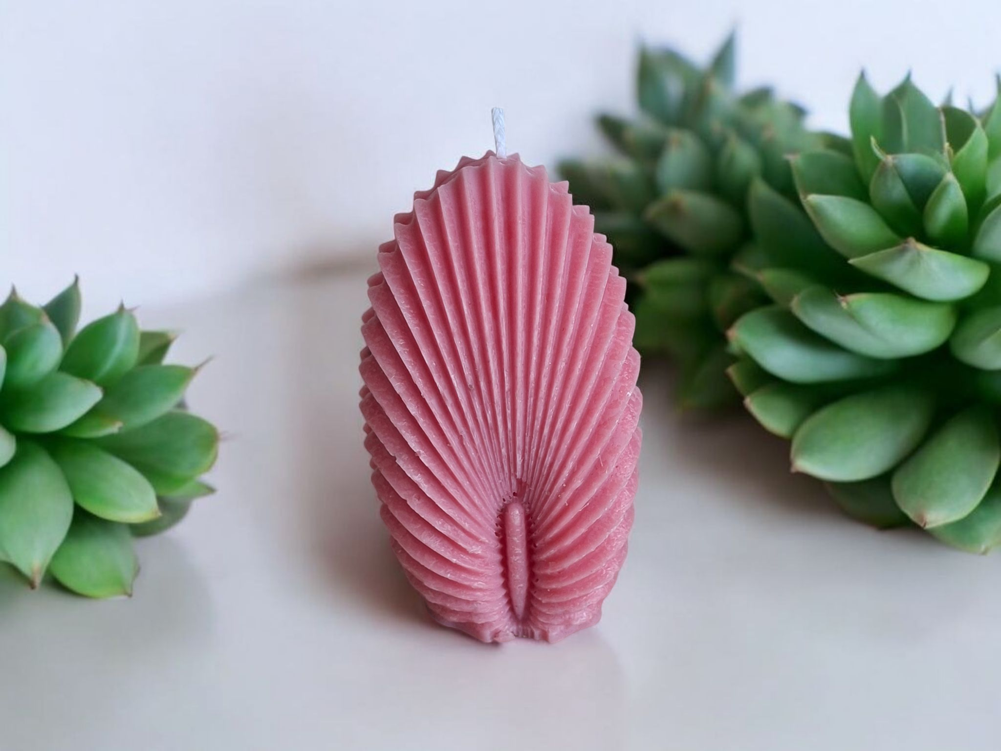 Kleine schelp kaars