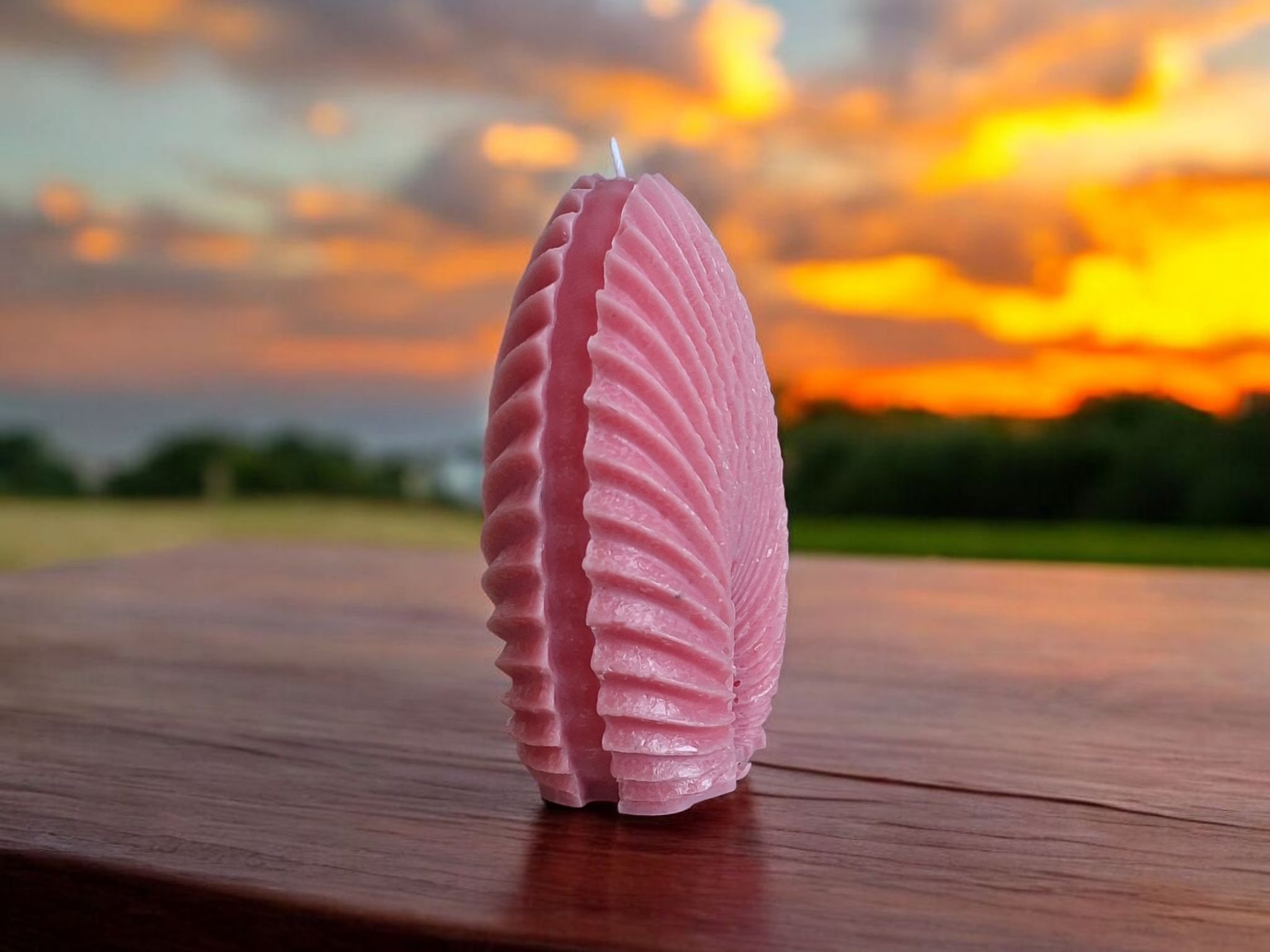 Kleine schelp kaars