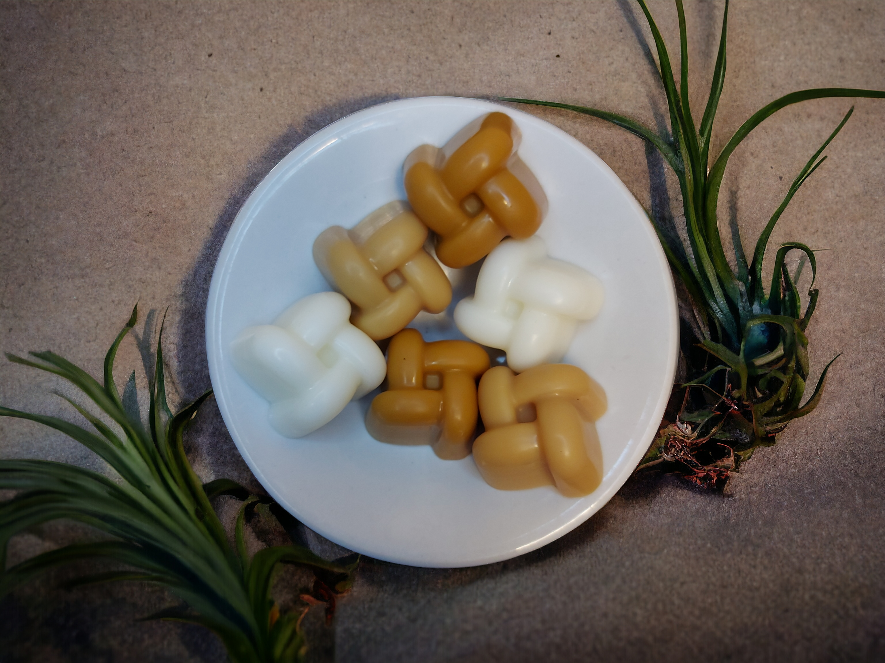 Wax Melts "Knots - Espresso & Martini"